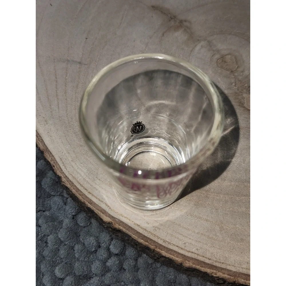 Bachelorette's Last Night Out Shot Glass Pink Lettering~Wedding~Engagement~Gift